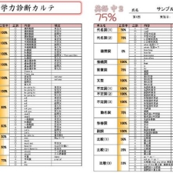 ＜学力診断テストの結果サンプル＞